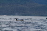 Alaska 2017